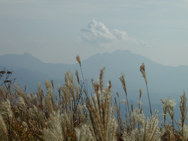 カヤトの原から茅ヶ岳曲岳方面を見る
