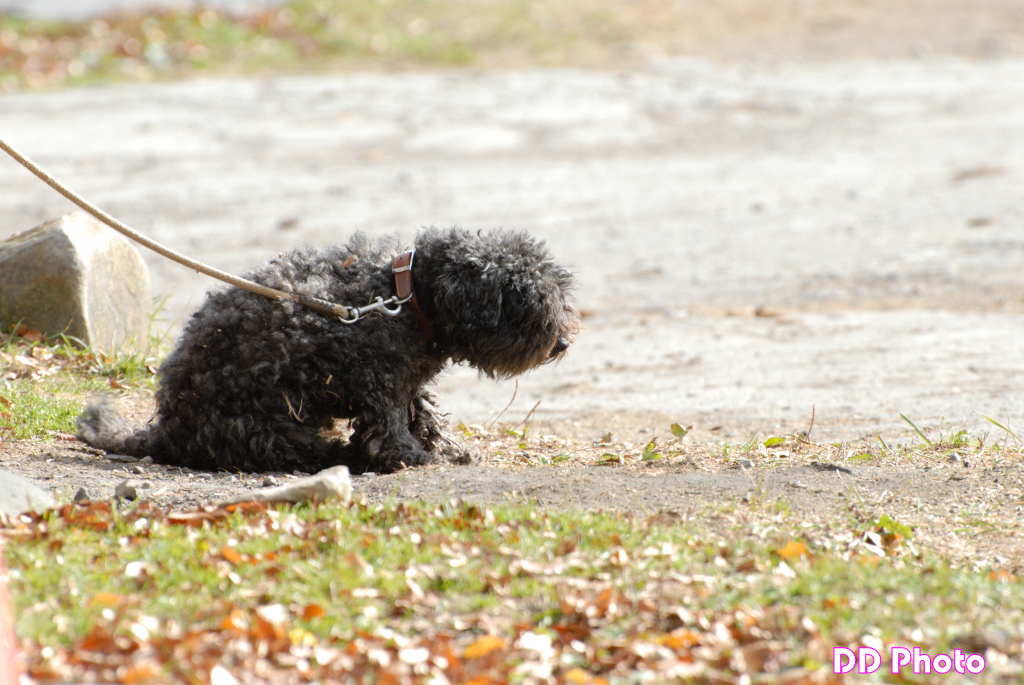 26_DSC_8452s.jpg