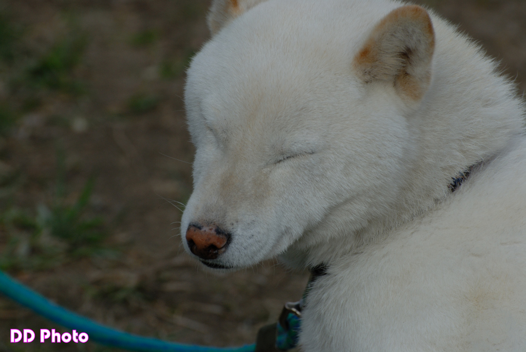 29_DSC_8491s.jpg