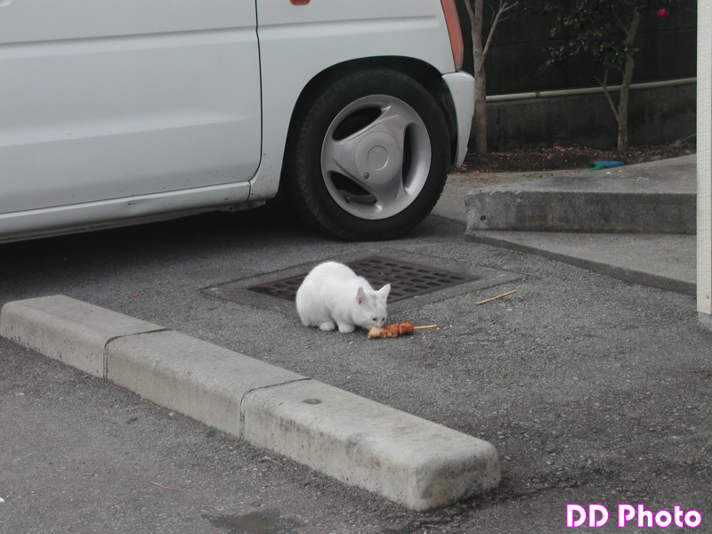 DSCN4604.JPG