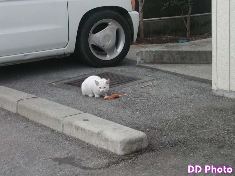 DSCN4605.JPG