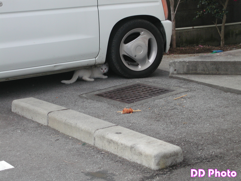 DSCN4609.JPG