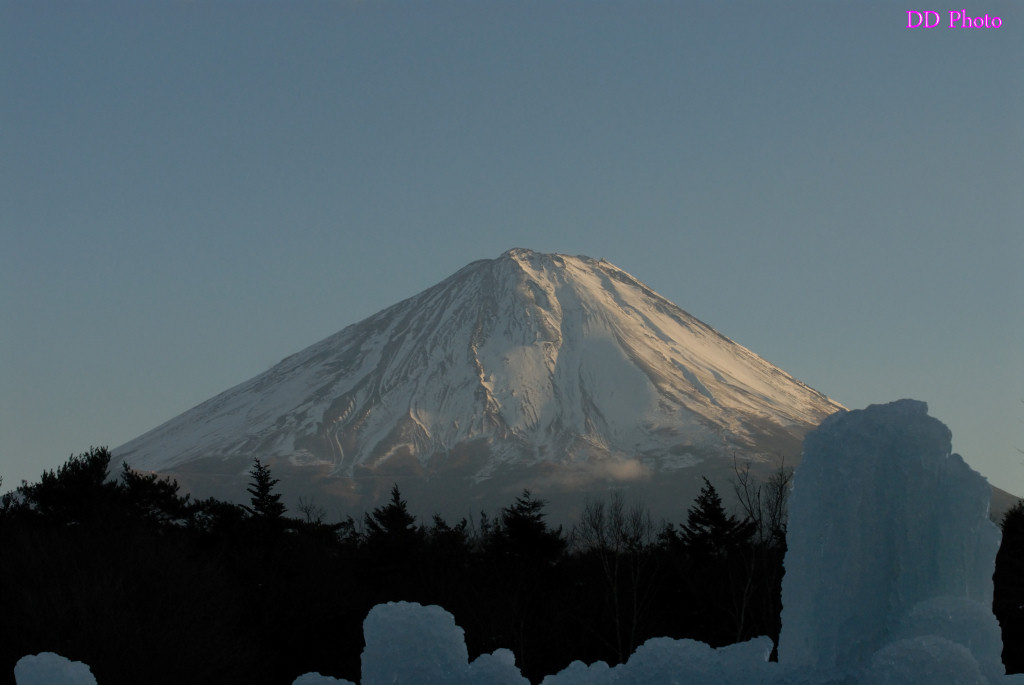 09-DSC_8456.jpg