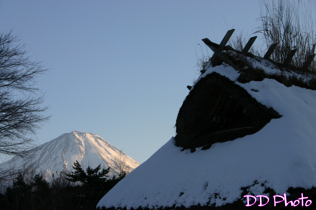 10-IMG_0099.JPG