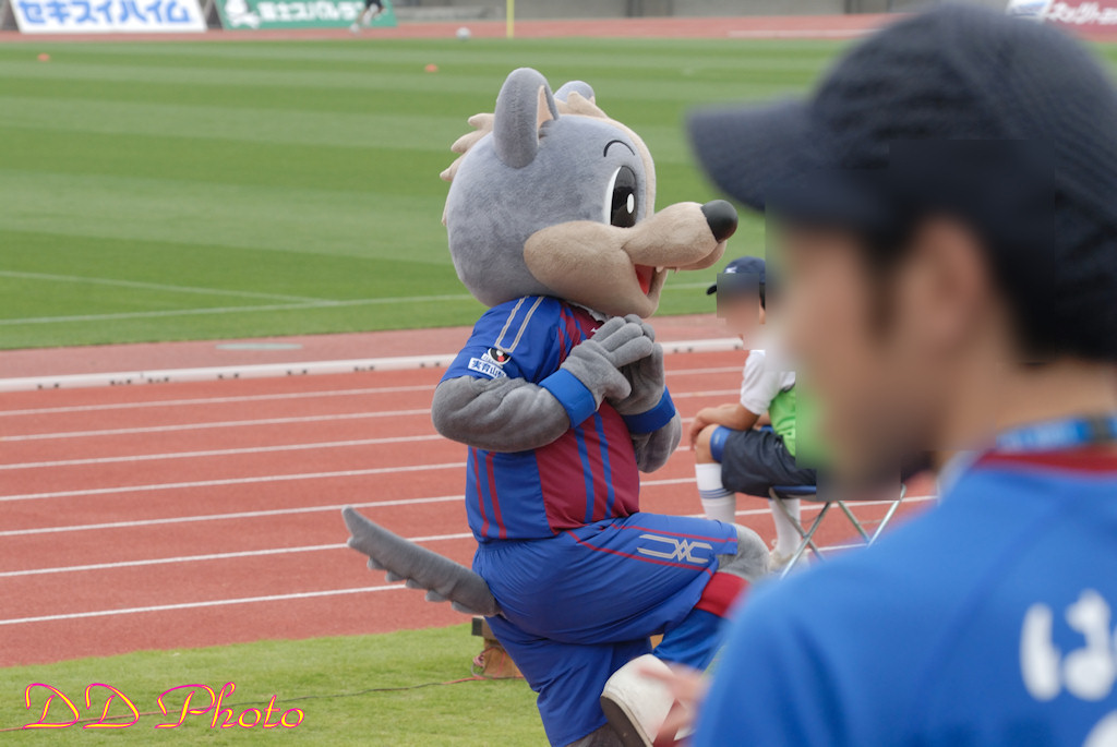 DSC_0348.JPG