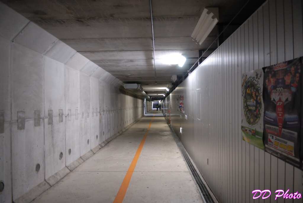 DSC_4501s.jpg