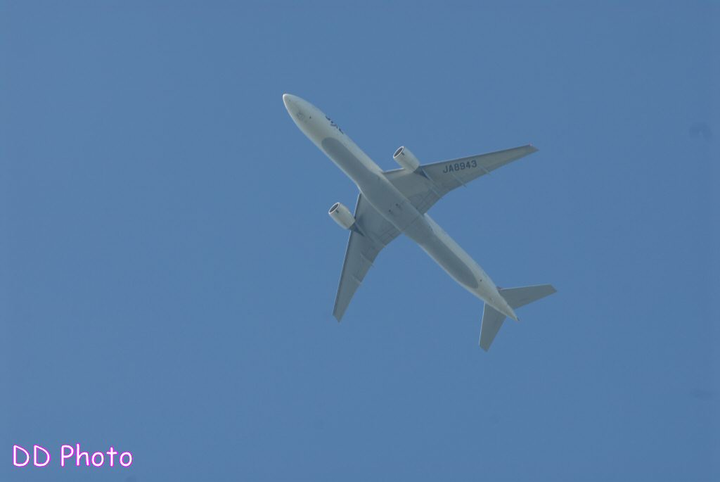 DSC_7884.JPG