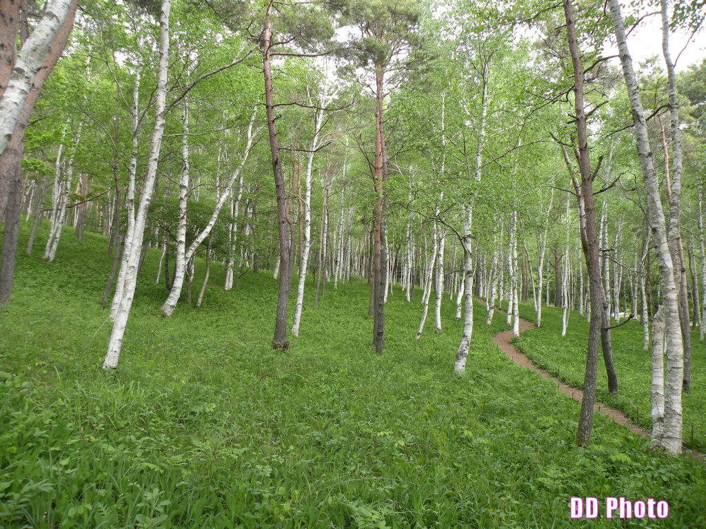 DSCN0112.JPG