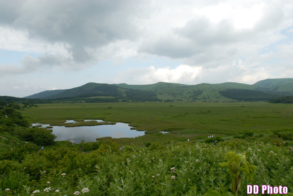 DSC_2400.jpg