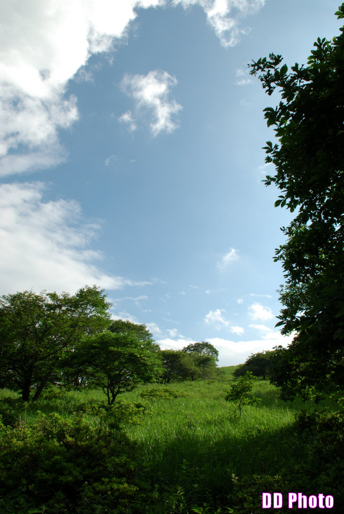 DSC_2449.jpg
