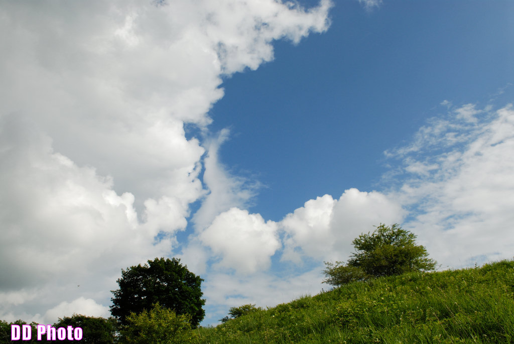 DSC_2457.jpg