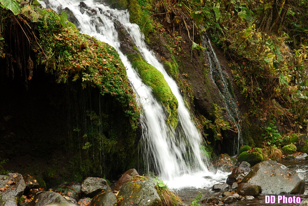 DSC_5098_s.jpg