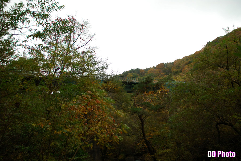 DSC_5147_s.jpg