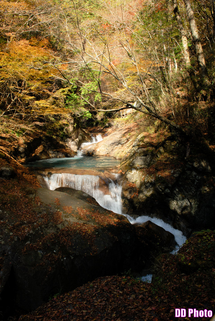 DSC_5167_s.jpg