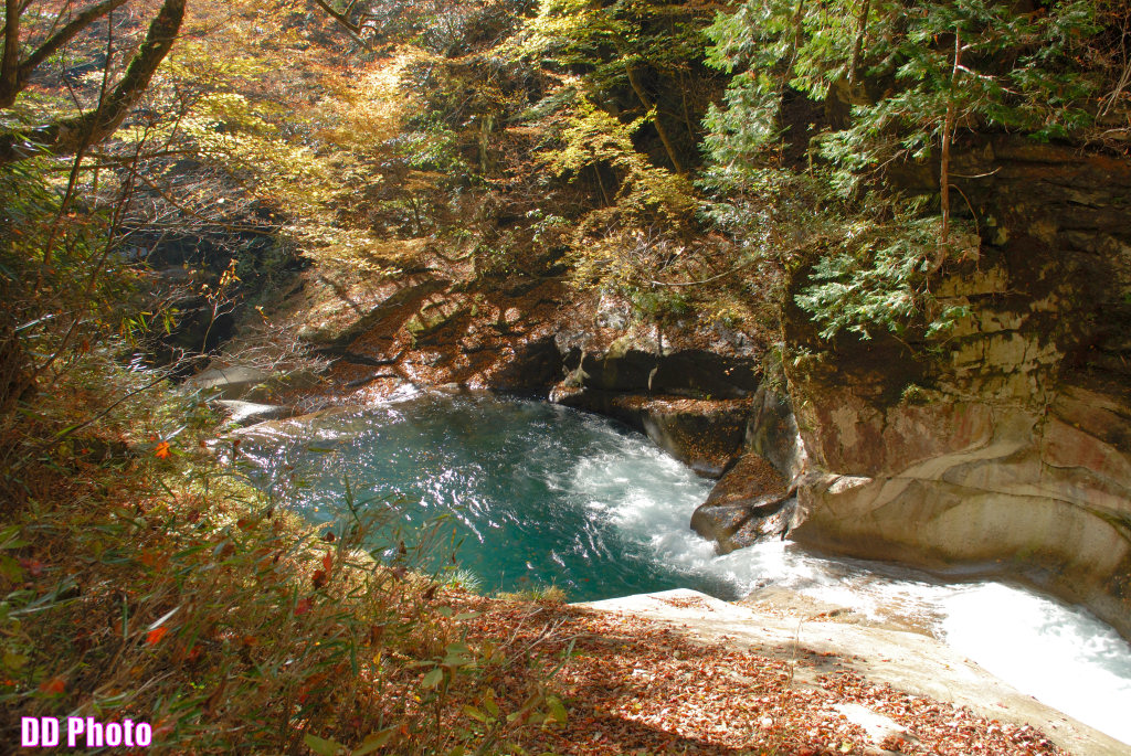 DSC_5173_s.jpg