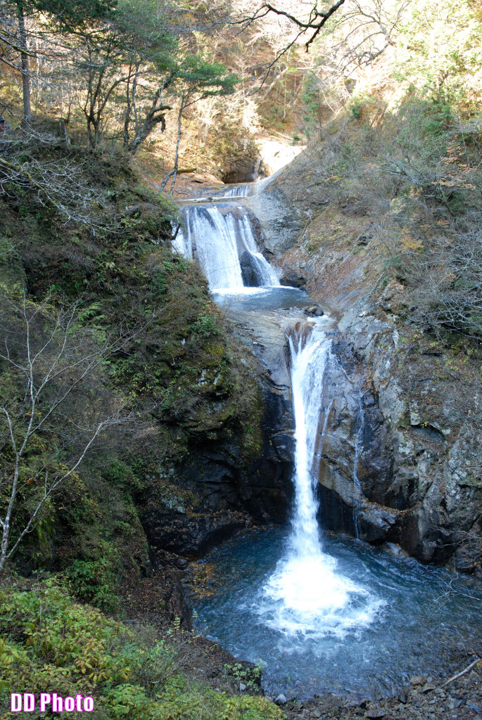 DSC_5254_s.jpg