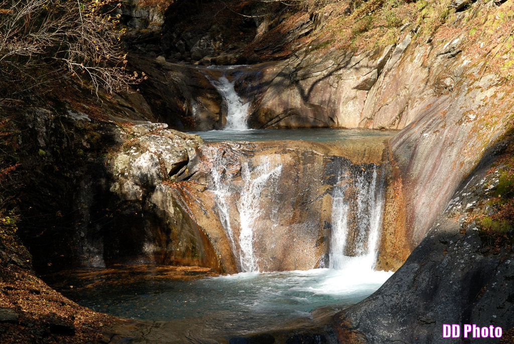 DSC_5273_s.jpg