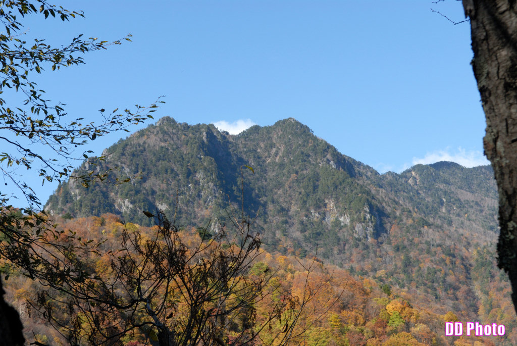 DSC_5324_s.jpg