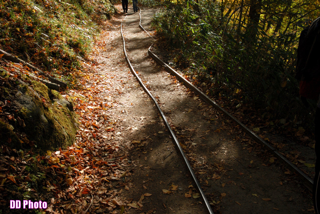 DSC_5353_s.jpg