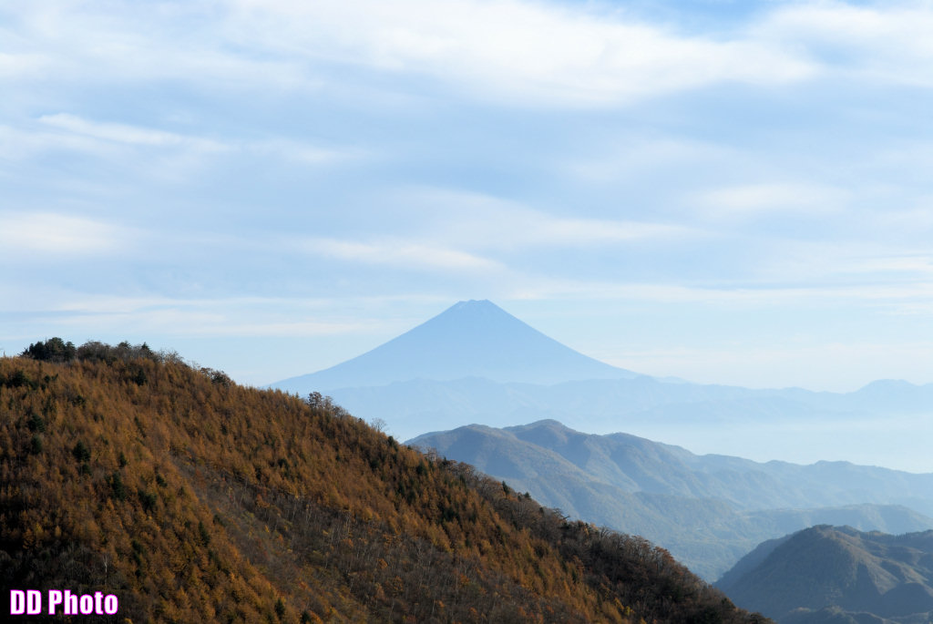 DSC_5386_s.jpg