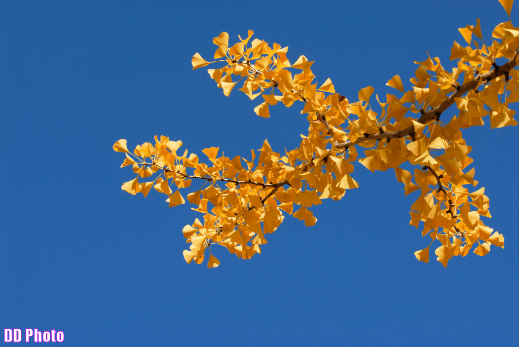 DSC_6843_s.jpg