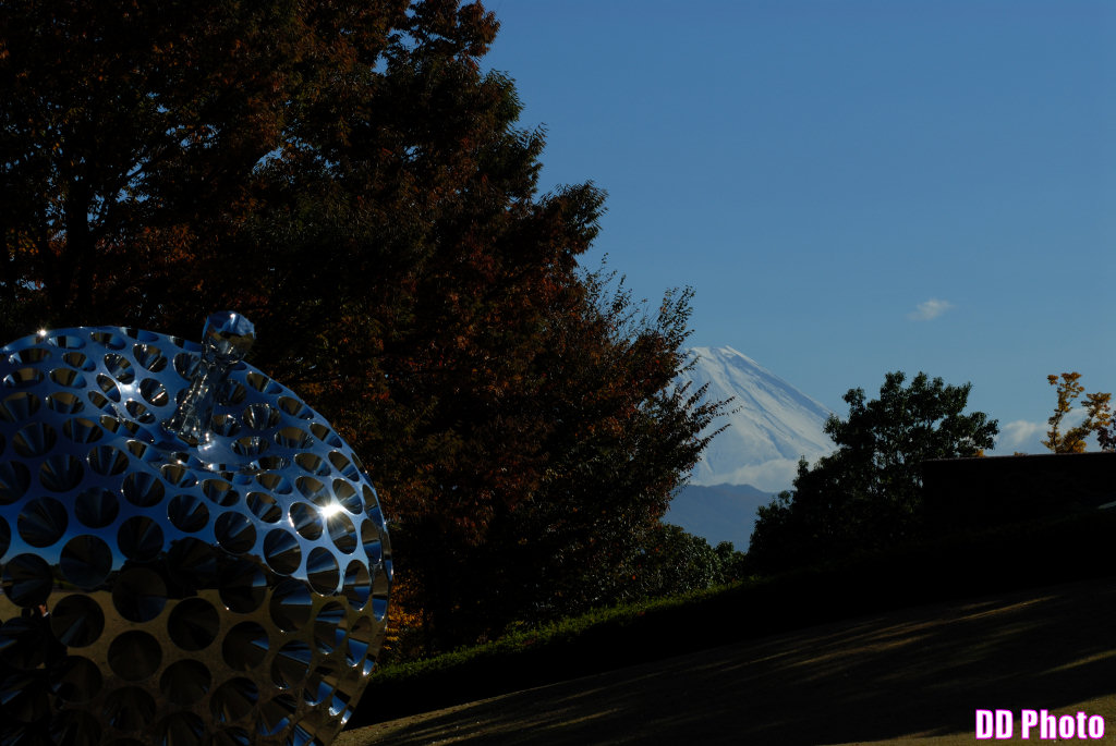 DSC_6885_s.jpg
