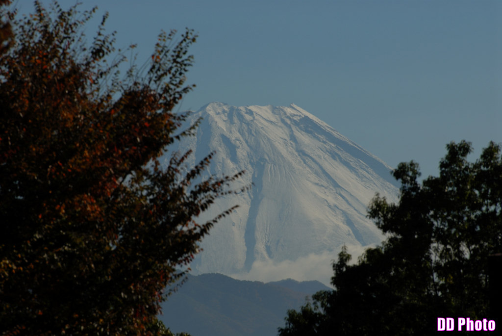 DSC_6890_s.jpg