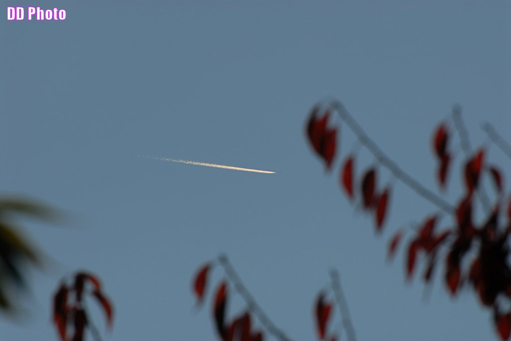 DSC_6994_s.jpg