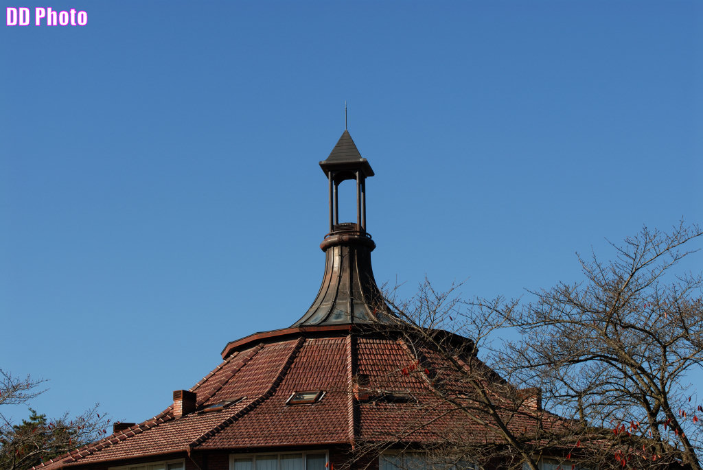 DSC_6995_s.jpg