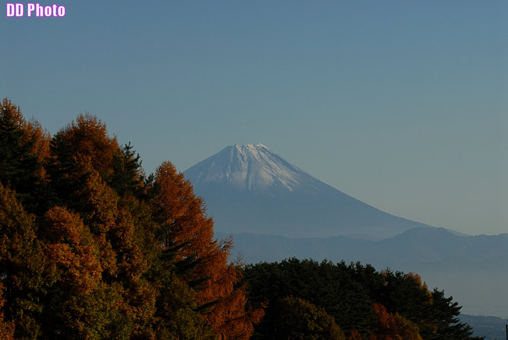 DSC_6996_s.jpg