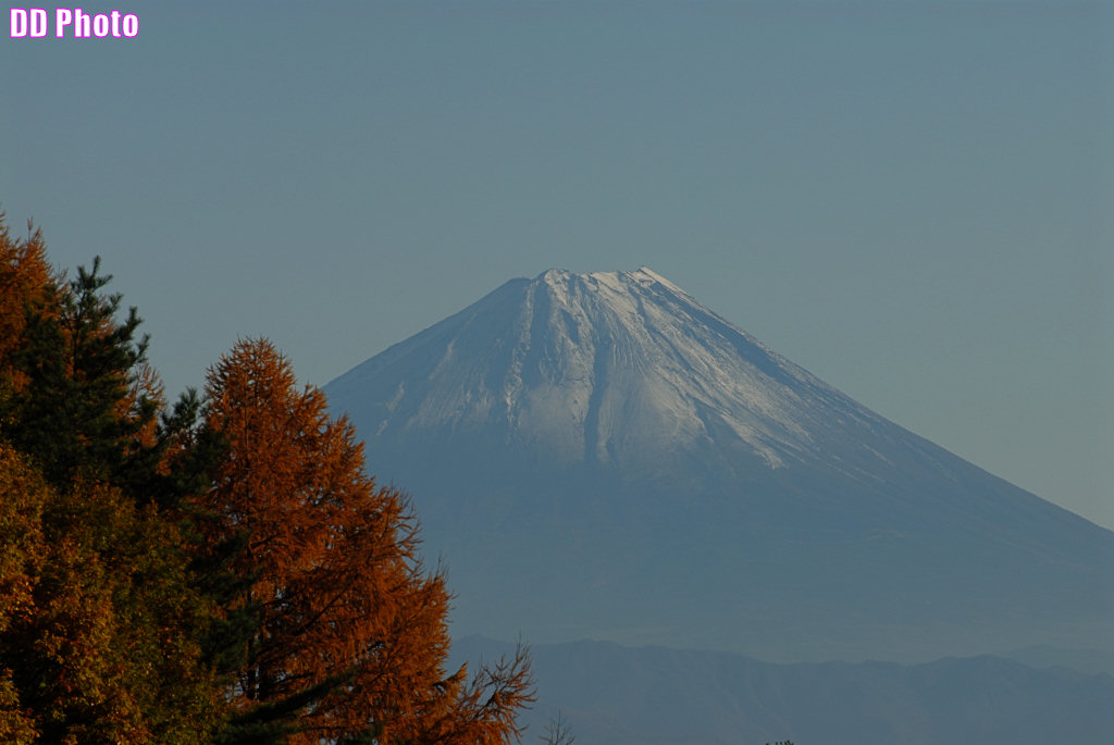 DSC_6997_s.jpg